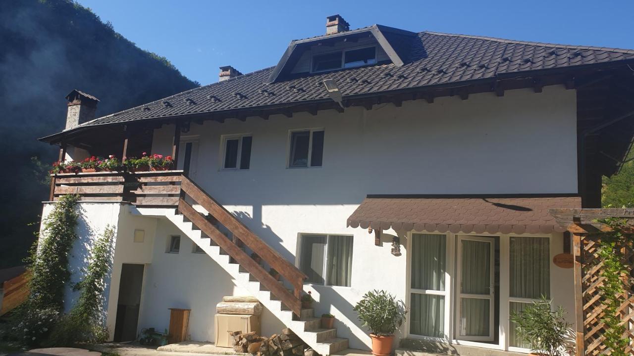 Pensiunea Ardeleanu' Slamnesti Exterior photo